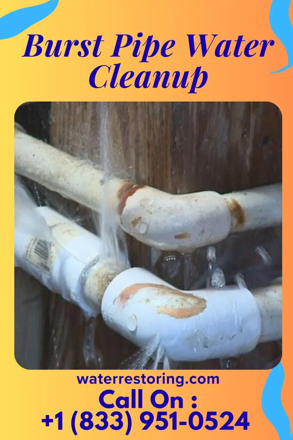 Burst Pipe Water Cleanup in Lake Park, NC