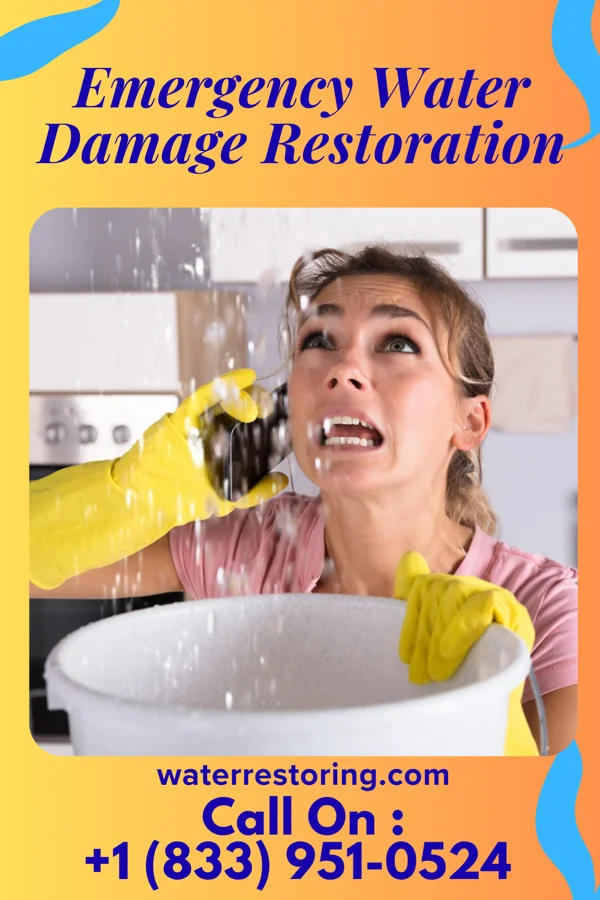 Emergency Water Damage Restoration in Lake Park, NC