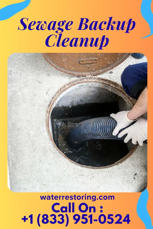 Sewage Backup Cleanup in Lake Park, NC