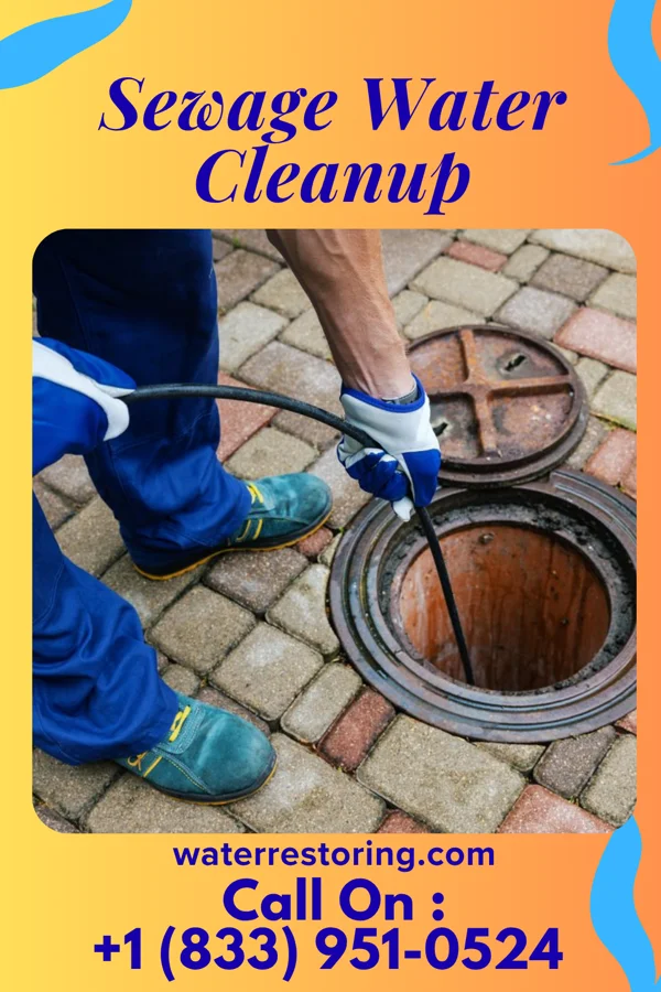 Sewage Water Cleanup in Lake Park, NC